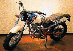 FTR223 A-TYPE �J�X�^���o�C�N