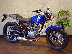 FTR223 B-TYPE �J�X�^���o�C�N