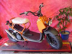 �����ɂ���������J�X�^���Y�[�}�[ �J�X�^���o�C�N